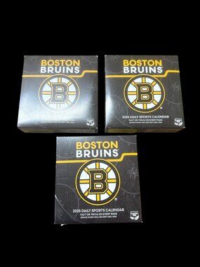 Boston Bruins 2025 Daily Sports Calendar Trivia & Facts New in Box